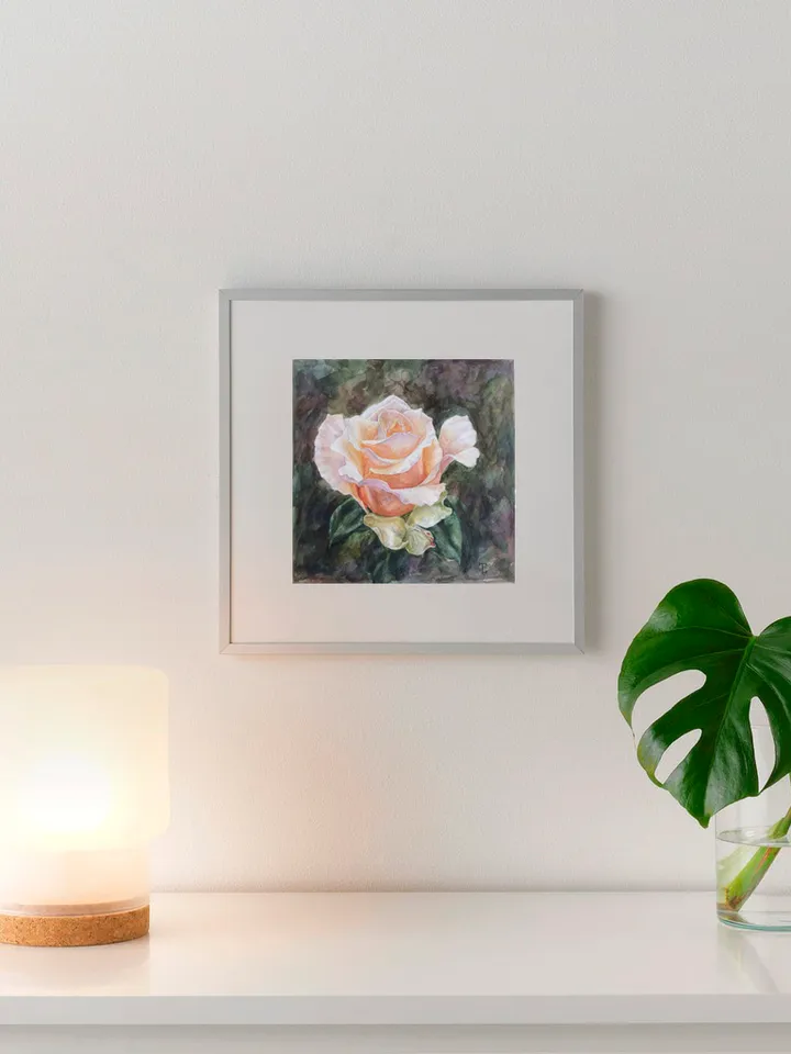 "Peach Rose" Flower Original Wall Art Painting Watercolor Artwork, 17x17cm.