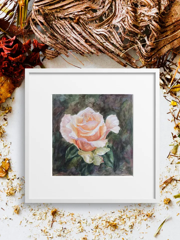 "Peach Rose" Flower Original Wall Art Painting Watercolor Artwork, 17x17cm.