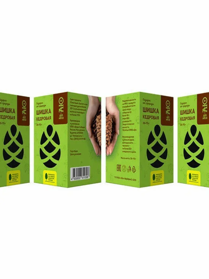 Selected cedar cone with nuts 3 pieces, free shipping