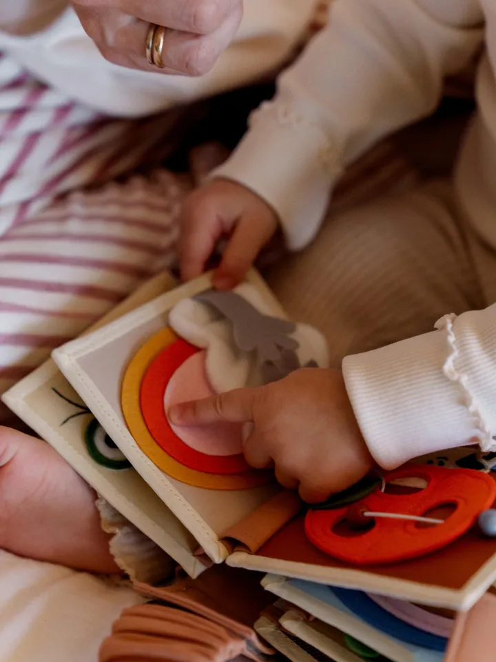 Quiet Book for Babies 6-9-12 months, Soft Felt Busy Book for 1st Year, Perfect for Developing Fine Motor Skills, Christmas baby Gift