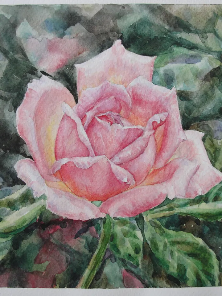 "Pink Rose" Flower Original Wall Art Painting Watercolor Artwork, 17x17cm.