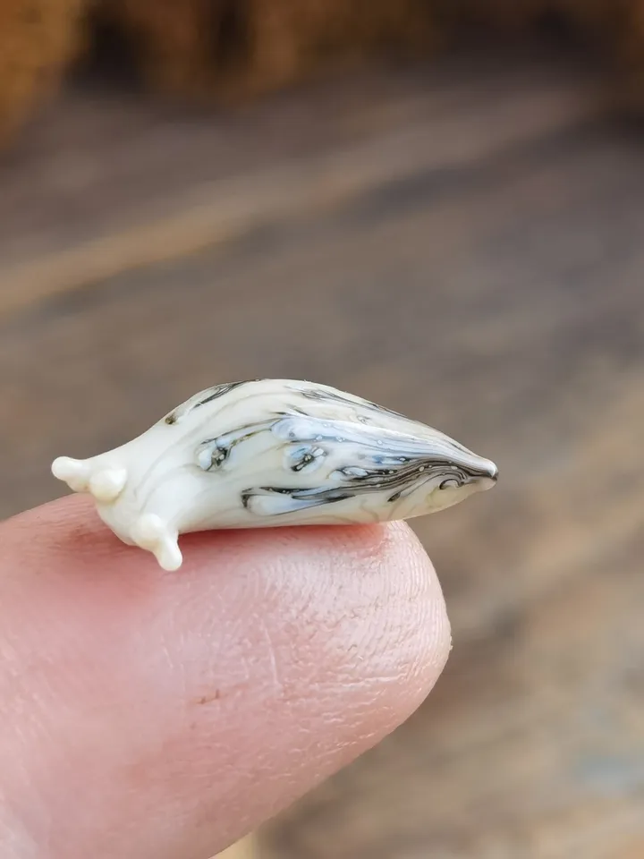 GLASS FIGURINES Slug figurine aquarium decoration Miniature animals Blown glass art Miniature slug gift Terrarium figurine Glass slug snail