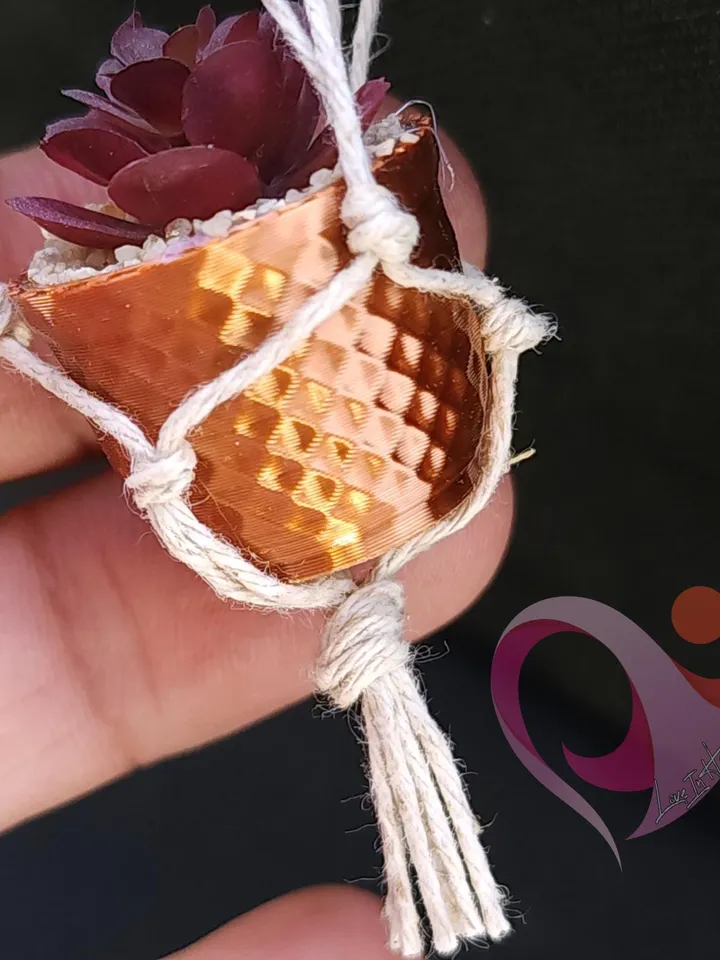 Mini Plant Magnet Tiny Macrame Succulent Hanging Locker Magnet Unique Gift Plant Lover Kitchen Decor Cute Fridge Magnet Gift Under 10