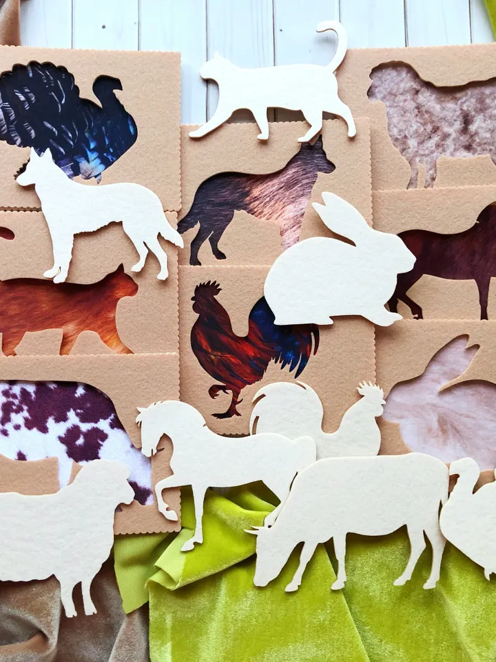 full set of tactile cards about animals