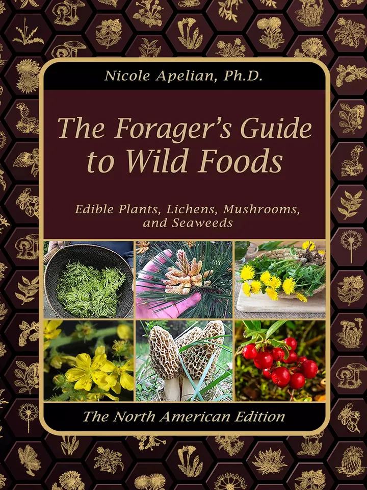 The Foragers Guide to Wild Foods by Nicole Apelian Study Guide Digital Download Ebook PDF