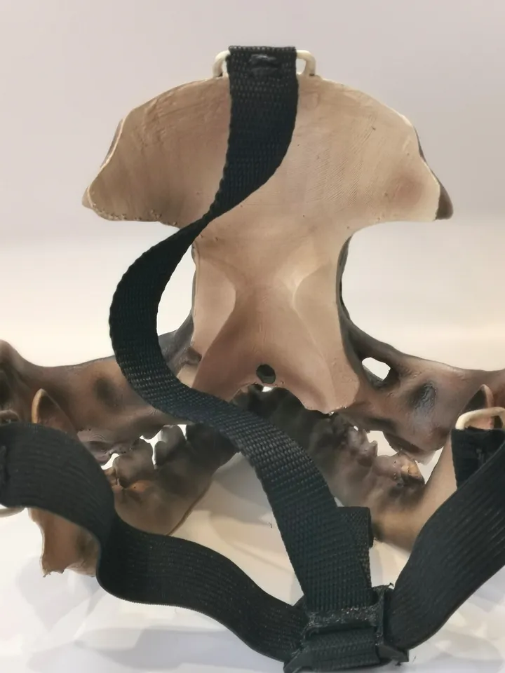 Pug Skull Mask, face mask halloween, resin skull mask, animal skull mask, creepy mask, scary mask, dog skull mask, burning man mask