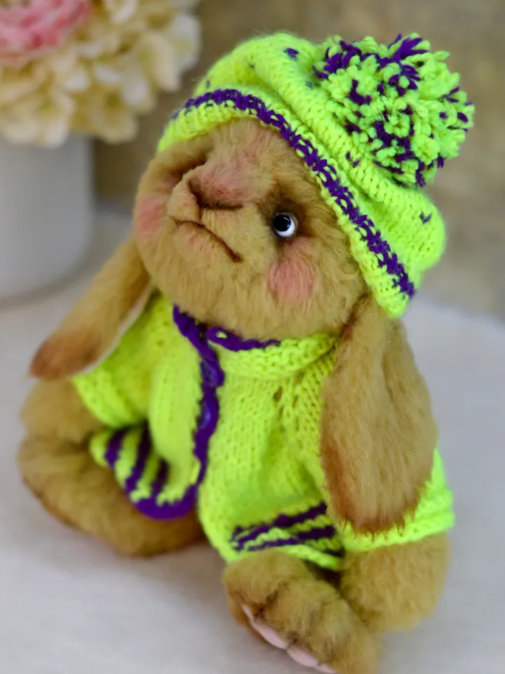 Teddy bunny, a soft toy