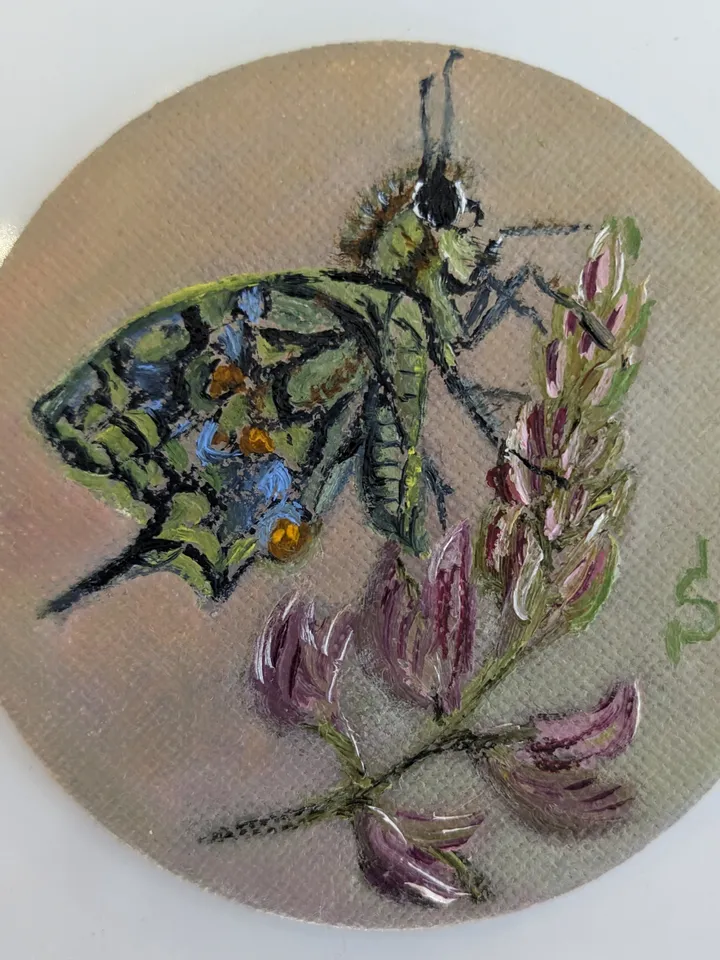 Butterfly Miniature Set Oil Painting Magnetic Round Canvas 3 Inch