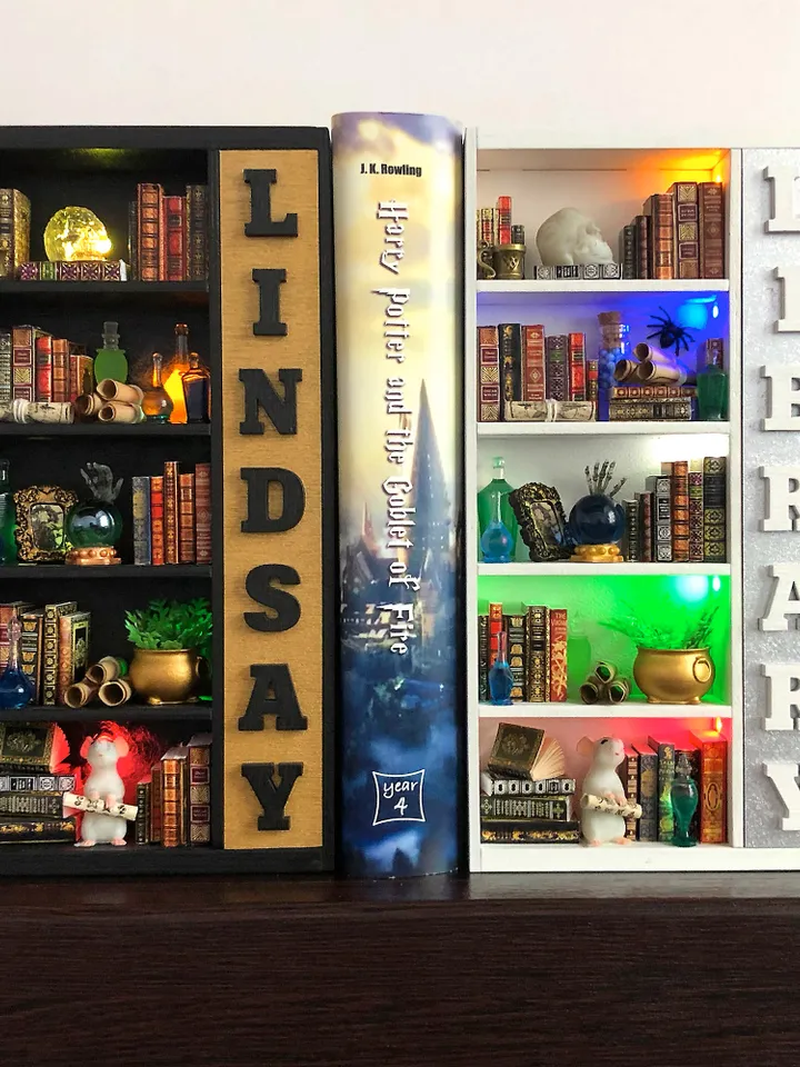 Book nook, Book nook money box, book nook insert, book nook miniatures, bookshelf insert, Dark Academy library, best friend christmas gift