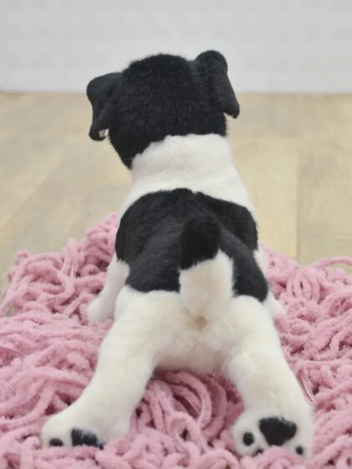 Stuffed toy puppy.