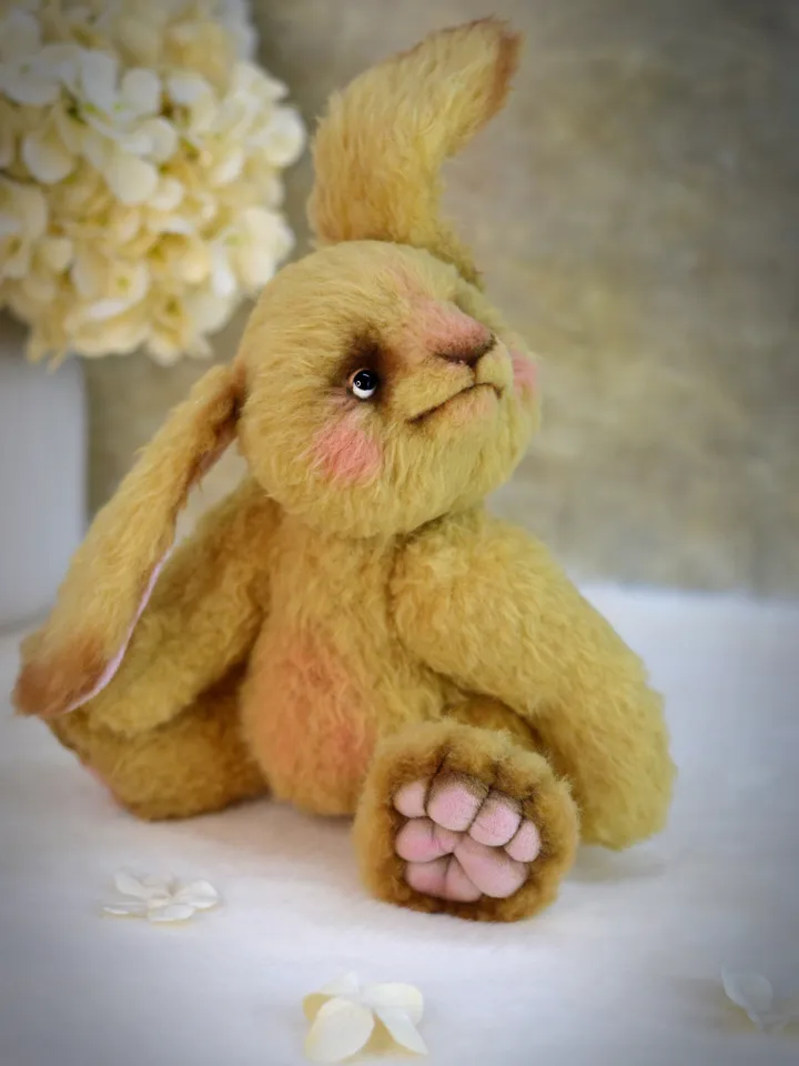 Teddy bunny, a soft toy