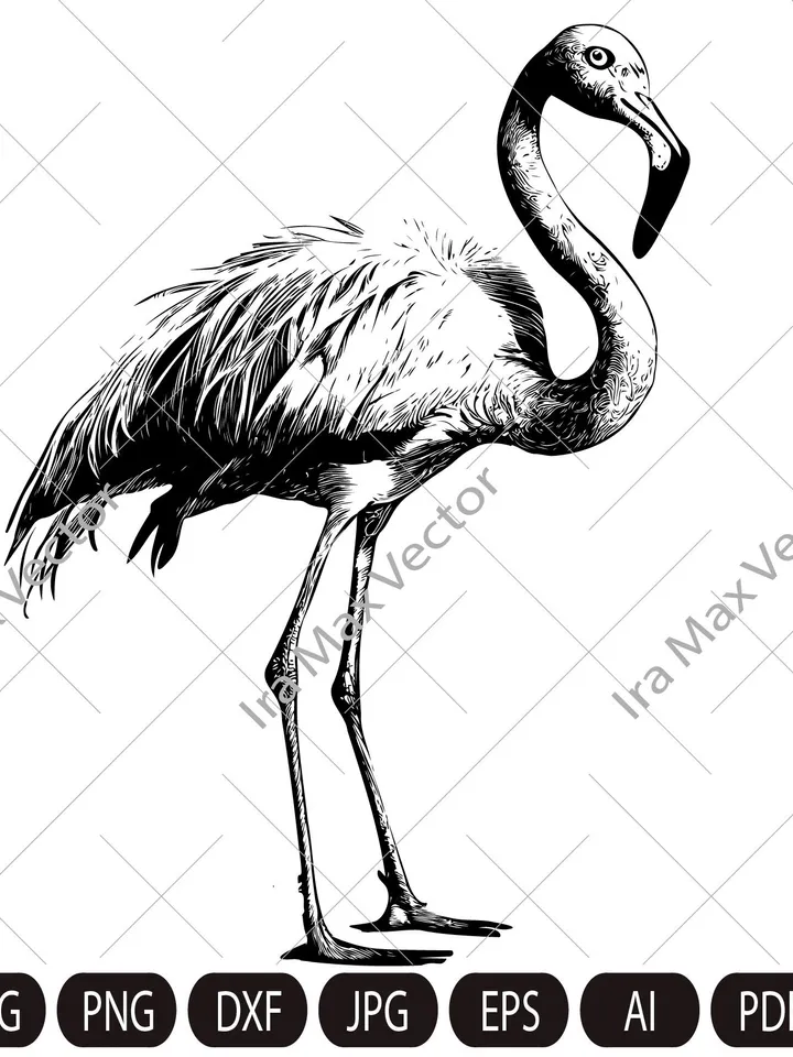 FLAMINGO SVG , Flamingo bird Svg, Flamingo Cut File , Bird Svg, Flamingo Clipart, Exotic birds, Flamingo Silhouette