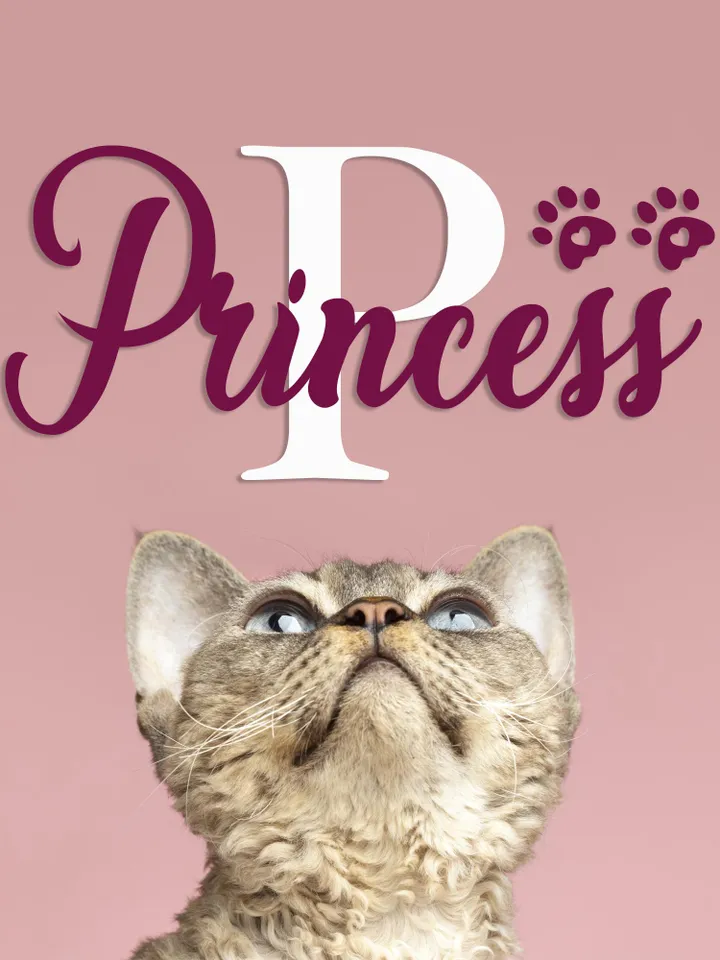Personalized Pet Wall Decal Cat Name Sticker Sign Custom Pawprint