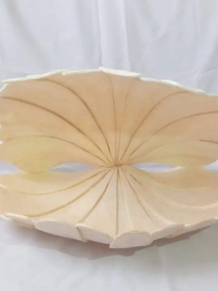 Baby shell for newborn photo shoots-Newborn photo props-giant shell newborn photography-baby newborn props-Prop newborn.