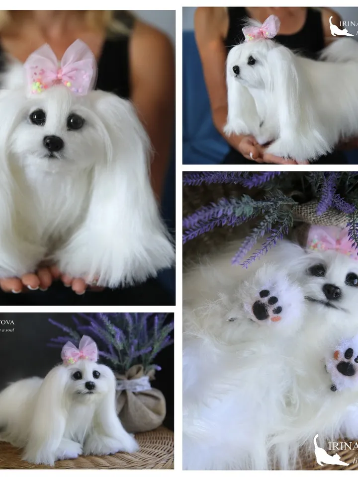 Pattern Dog | Realistic sewing toy pattern | Maltese dog | Stuffed Animals |Pattern with brief instruction for stitching