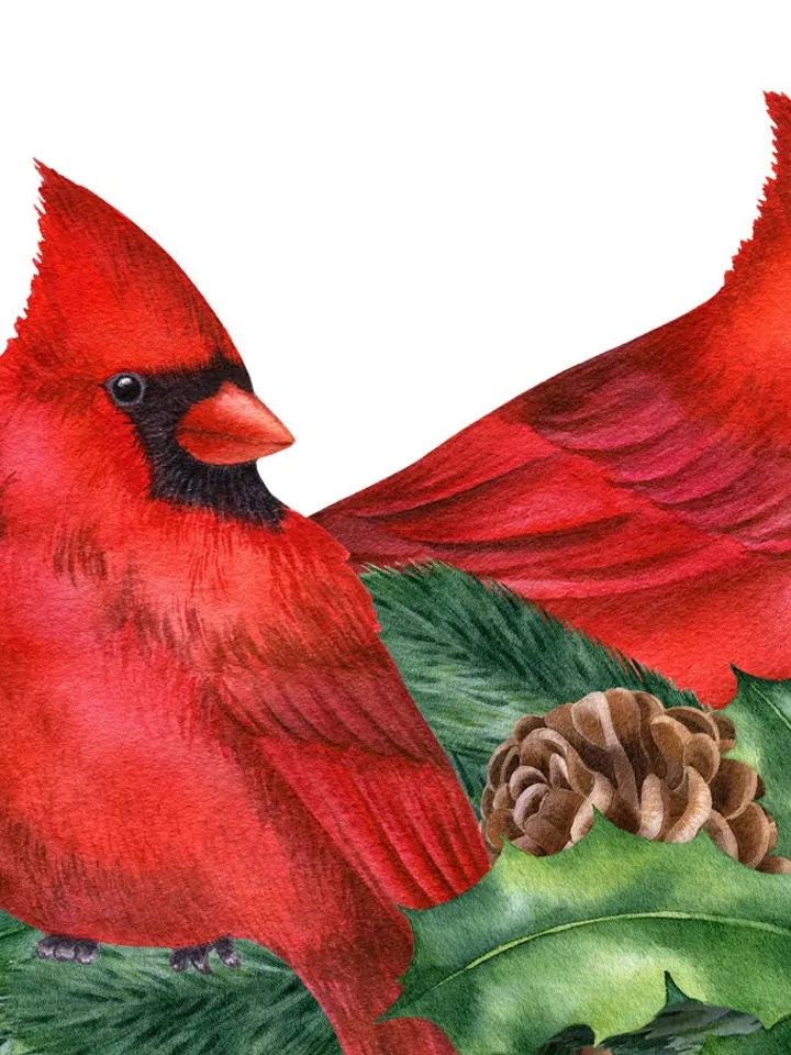 Christmas birds Blue jay red cardinal robin Xmas pine garlands Watercolor hand-painted clipart Wishes cards stickers wall art Printable PNG
