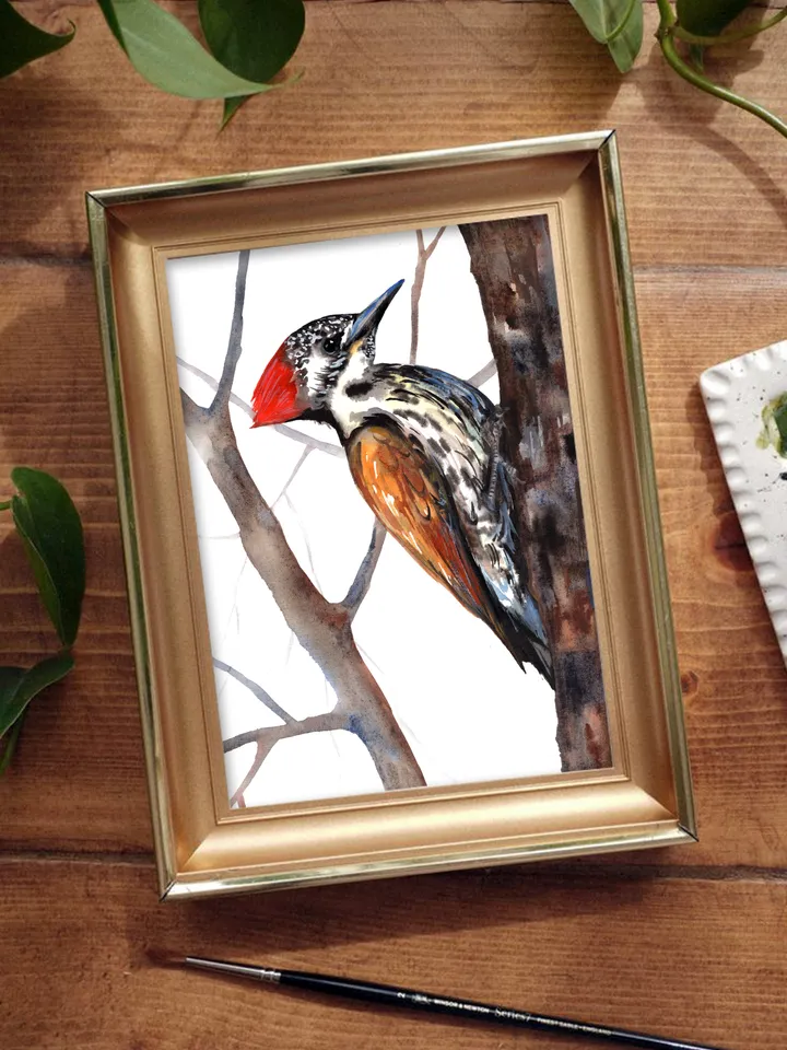 Woodpecker Bird Watercolour, bird painting, wall decor, birds lover gift, 8x11 in handmade art by Anne Gorywine