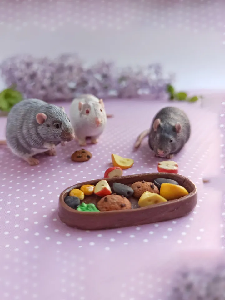Small rat from photo