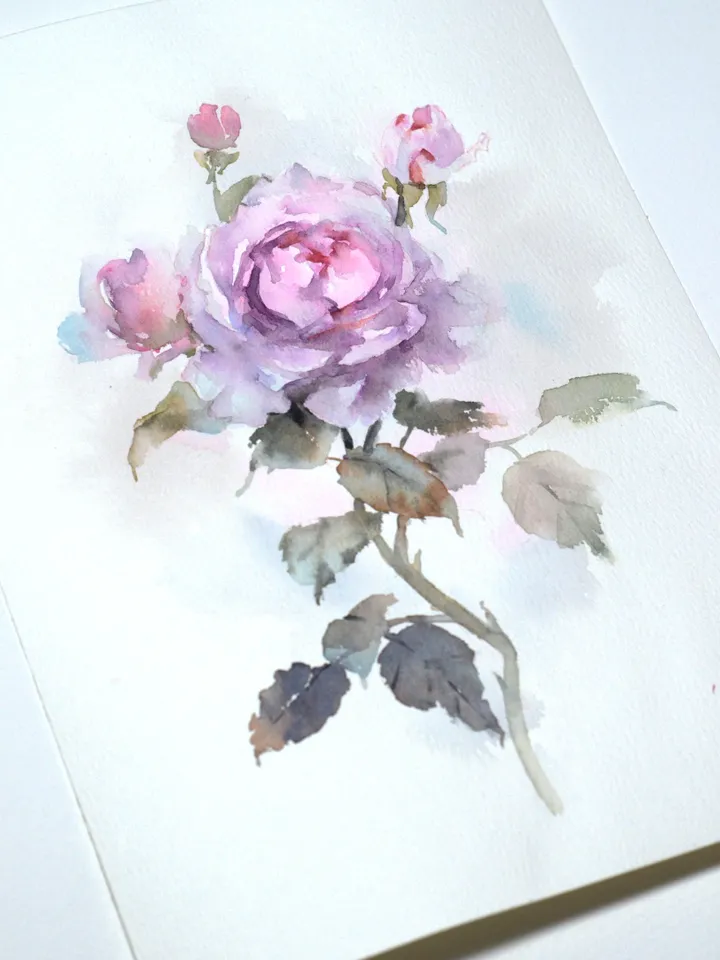 Rose in watercolor / Original art of flower