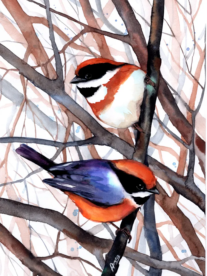 Original watercolor birds, bird painting, wall decor, birds lover gift, 8x11 in handmade art by Anne Gorywine