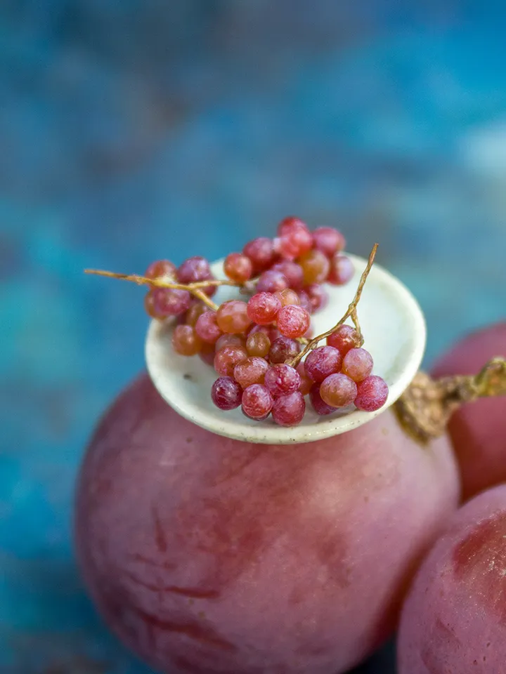 TUTORIAL Miniature large red grape with polymer clay