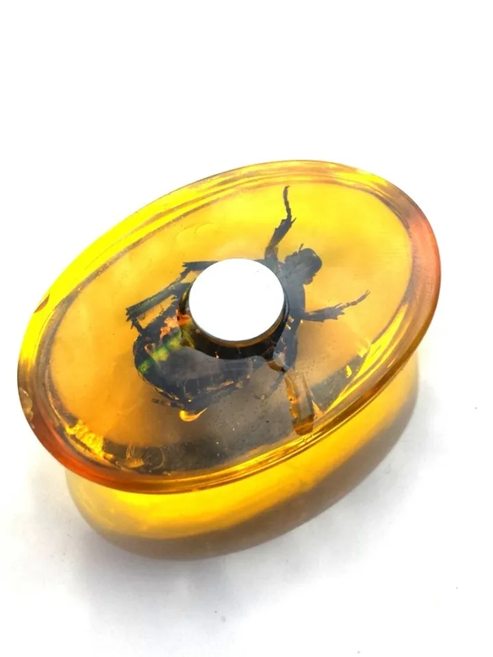 Real Bee Insect in Amber Epoxy Resin Cabochon for Crafts make jewelry Home Decor Fridge Magnet Small Gift for Kids teenager