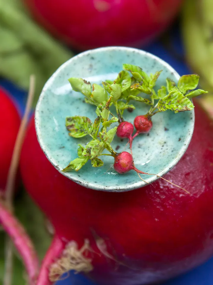 TUTORIAL Miniature radish with polymer clay