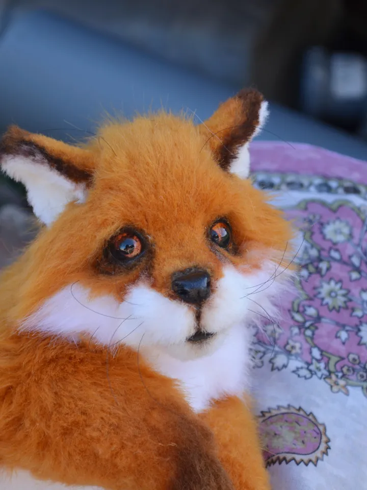 Little fox.