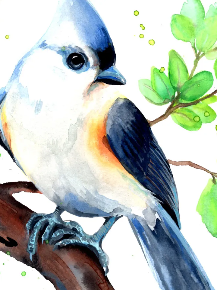 Titmouse original watercolor, birds painting, handmade wall decor, 5.7x5.7 in art for bird lovers by Anne Gorywine
