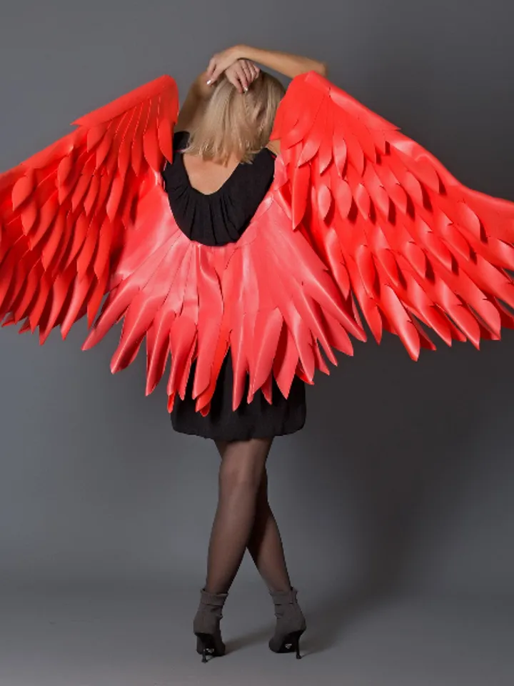 Christmas day costume, red angel wings, cosplay sexy, Valentines day gift, birthday party photo