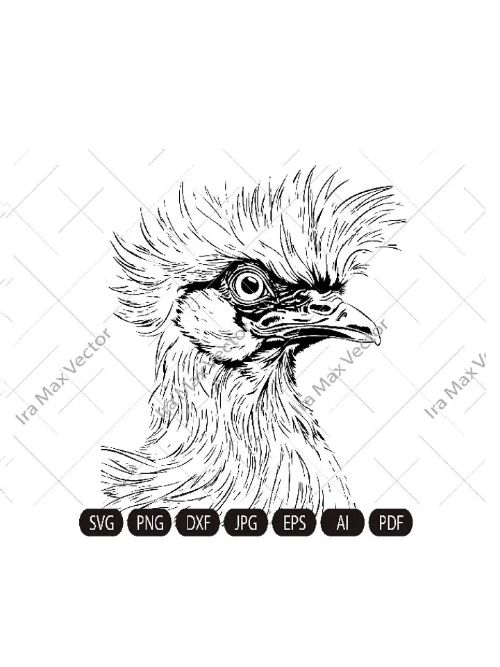 Silkie hen svg, Silkie hen head svg, Silkie hen face svg, Silk rooster, Silkie bird, FUNNY SILKIE HEN Digital image, animal, bird, hen, cock