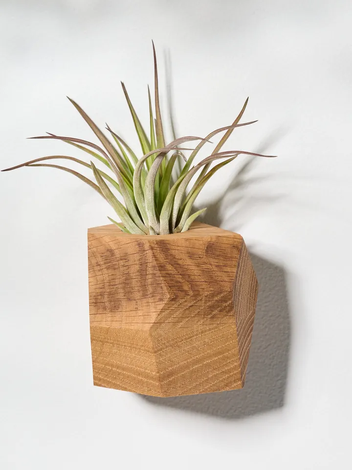 Set of 4 White Oak Geometric Air Plant Holder