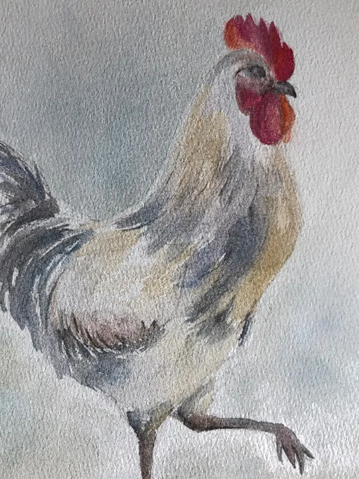 Rooster bird wall art painting living room original watercolour hand painted modern painting