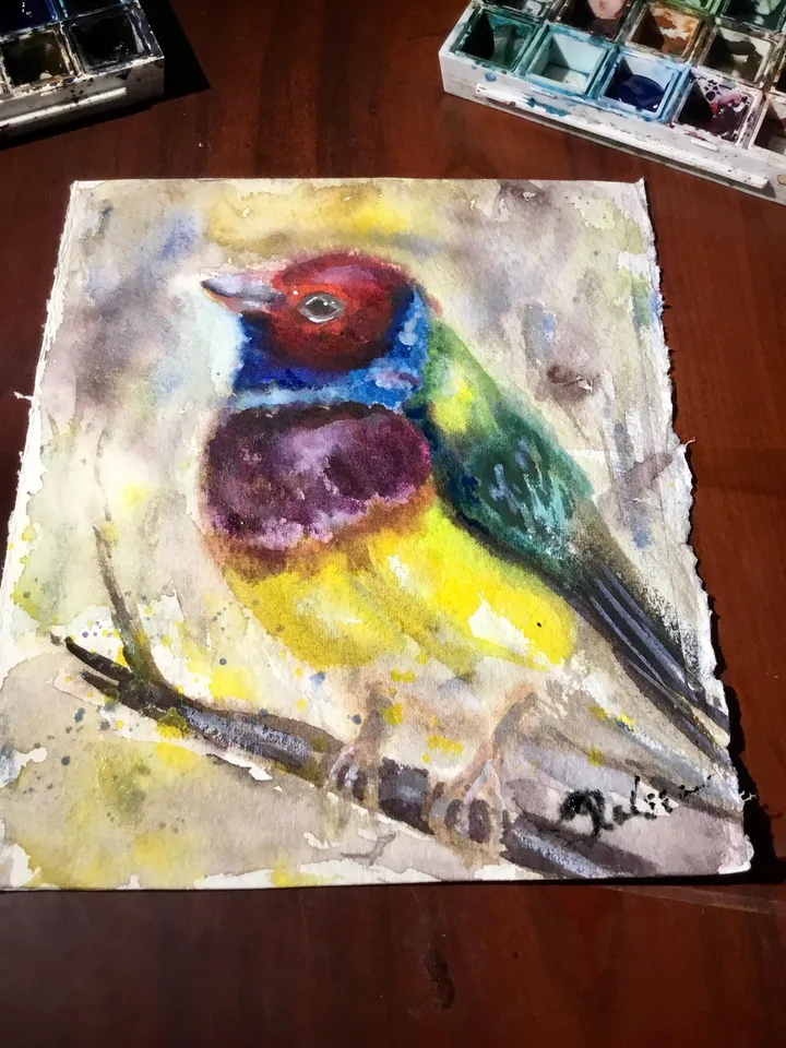 Bullfinch bird,colourful bird watercolor original painting,birds painting,small painting gift,kids room wall hanging,home decoration.