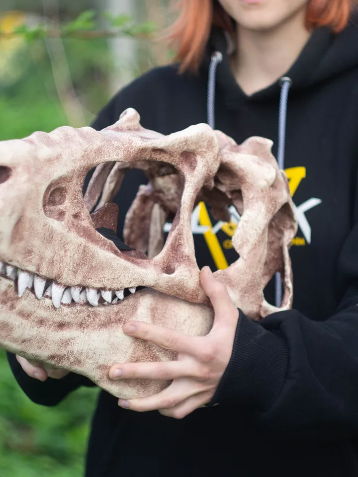 T-Rex Skull Mask, Dinosaur Skull, Tyrannosaurus Fossil Skull, tyrannosaurus rex, dinosaur mask, dino mask, resin mask, Horror Mask