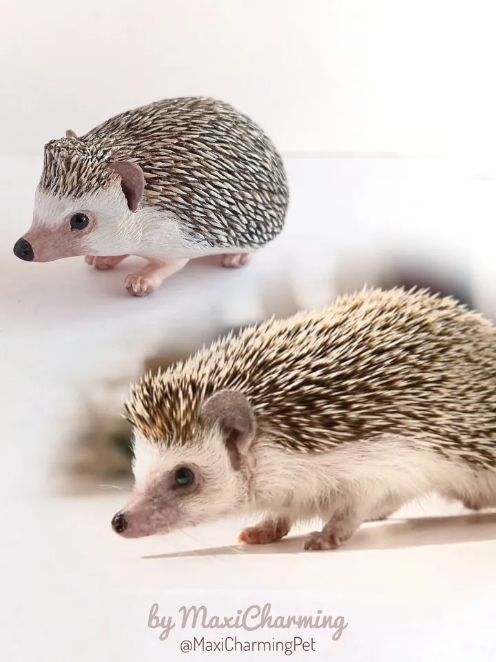 Hedgehog ornament from photo