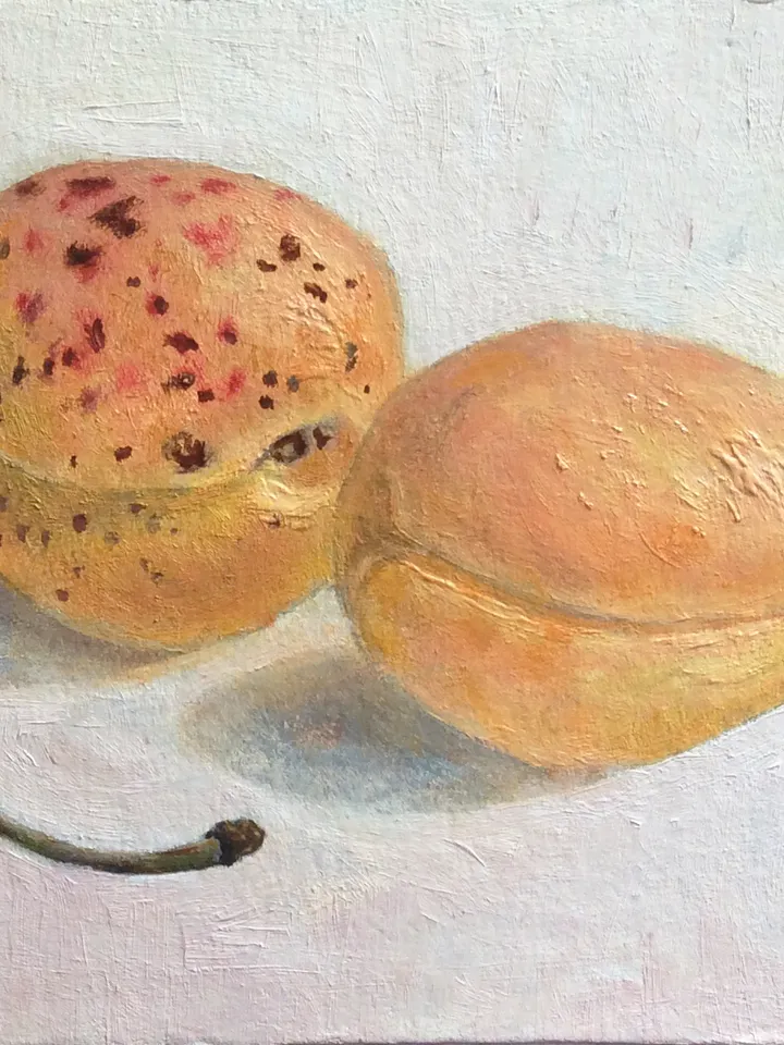 "Apricots with cherry" artwork oil painting original wall art stilllife fruit picture
