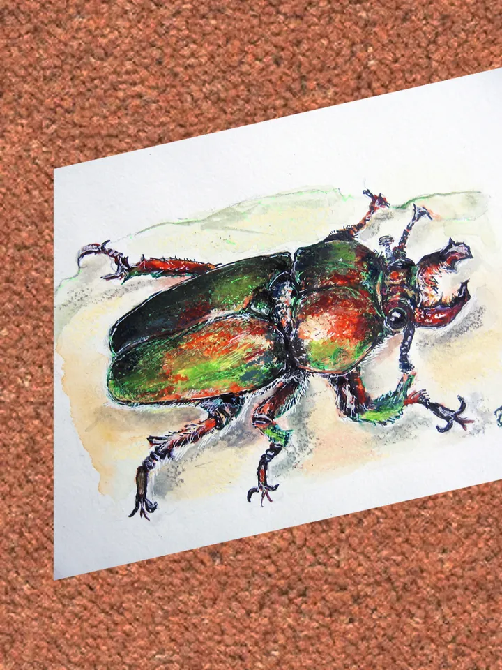 Watercolor paintings of Beatles. Set of 4 pcs. 21x15 cm (8.3х5,9 inches)