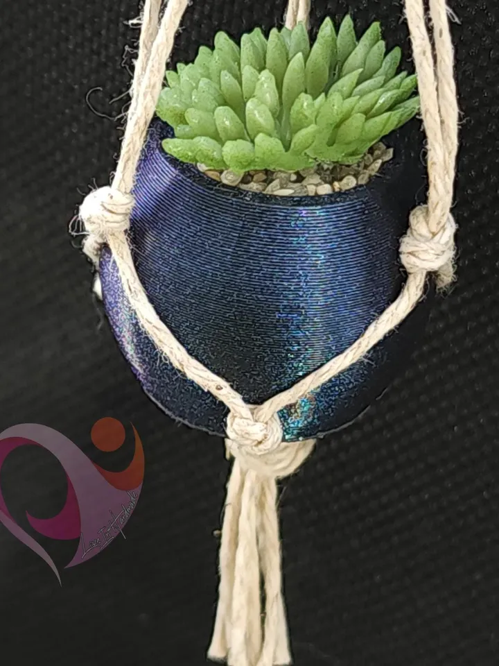 Mini Plant Refrigerator Magnet Tiny Succulent Macrame Hanger for Fridge Unique Gift for Plant Lovers Boho Kitchen Decor Under 10