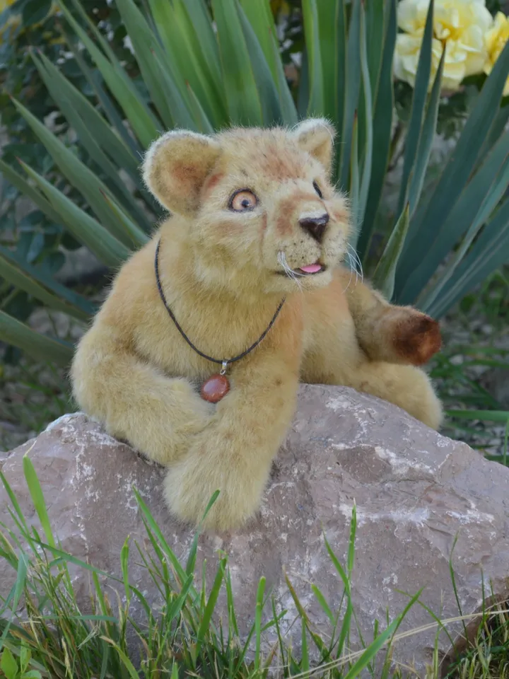 Lion cub