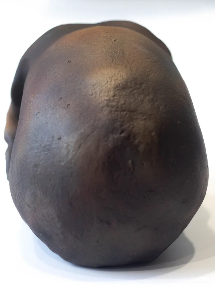 Homo Neanderthal from Spi Cave Skull Replica, Prehistoric Fossil Collection, Realistic Hominid Skull