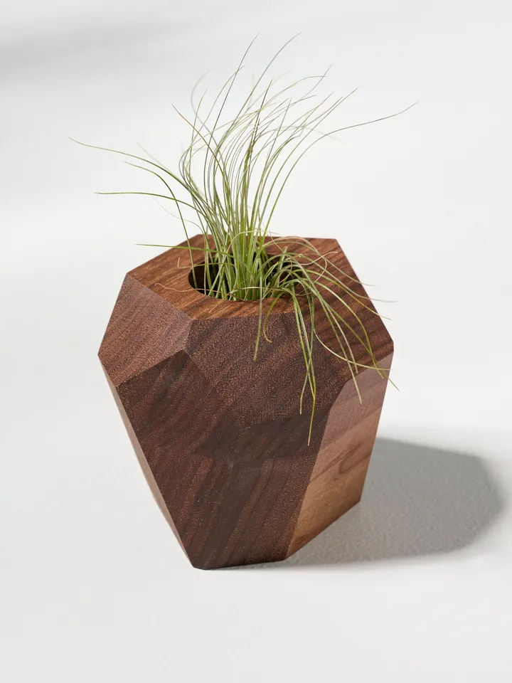 Walnut Geometric Air Plant Holder