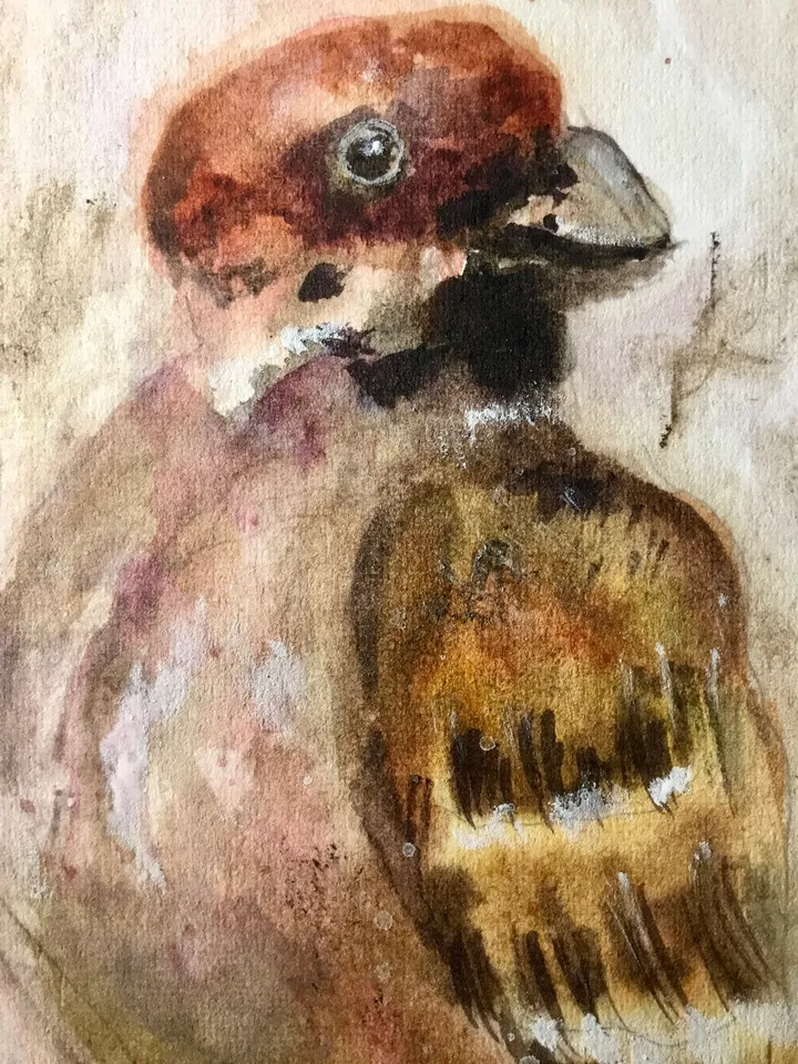 Bulfinch bird original watercolour painting,unique handmade gift,home decoration,birds painting,small paintings wall decoration.
