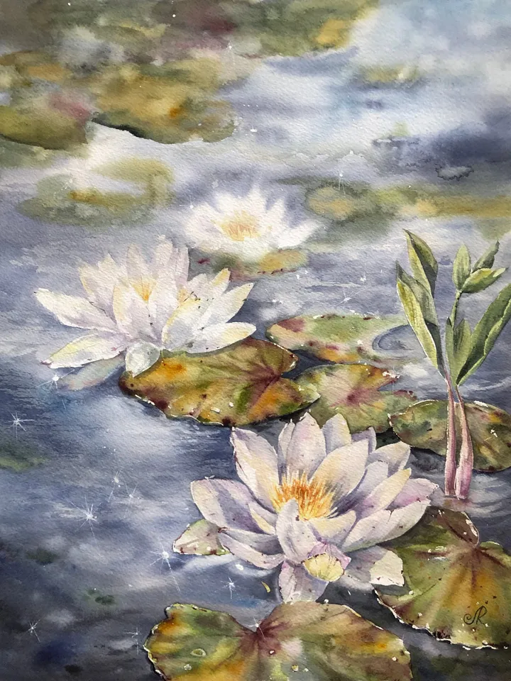 Lotus Watercolor Painting Water Lilies Art Print Lotus Artwork Lotus Pond Wall Art