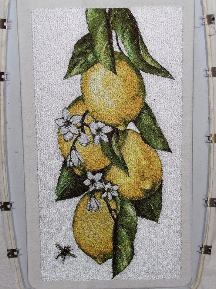 Lemon photo stitch Machine Embroidery Design
