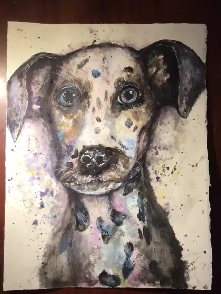 Dalmatian dog original watercolour painting,funny animals painting,dog wall decoration.watercolour wall art,kids room decoration.