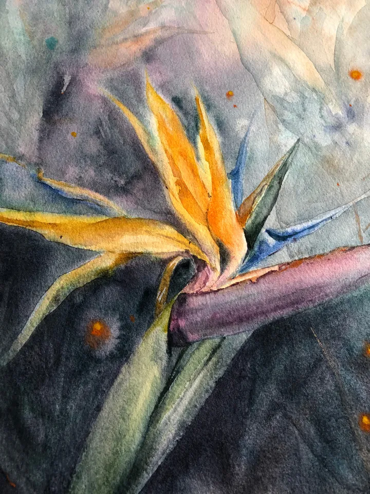 Flowers Original Watercolor Painting Tropical Flowers Wall Art