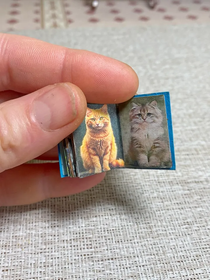 Book for a dollhouse. 1:12. Book about cats. Handmade.