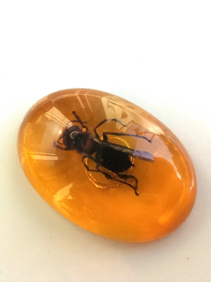 Real Bee Insect in Amber Epoxy Resin Cabochon for Crafts make jewelry Home Decor Fridge Magnet Small Gift for Kids teenager