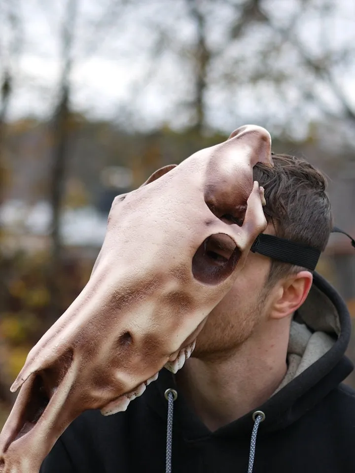 Horse Skull Mask Without Jaw, Horror Mask, Realistic Skull Mask, halloween scary mask, creepy mask, skull costume mask, shamanic mask